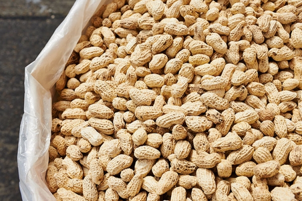 PEANUTS