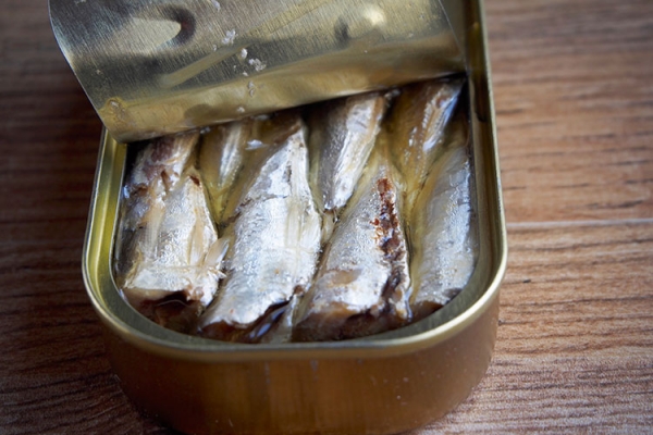 SARDINES