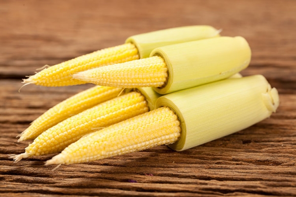 BABY CORN