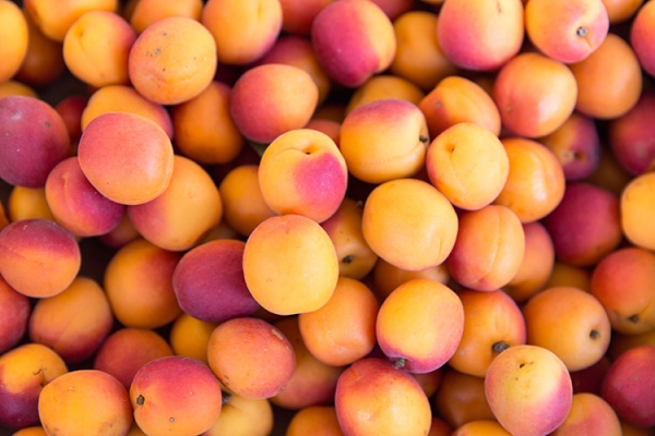 APRICOTS PUREE